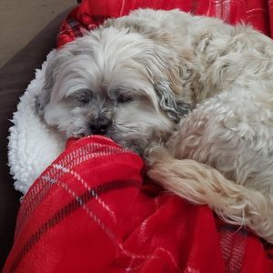 Meet your Posher, Marcia